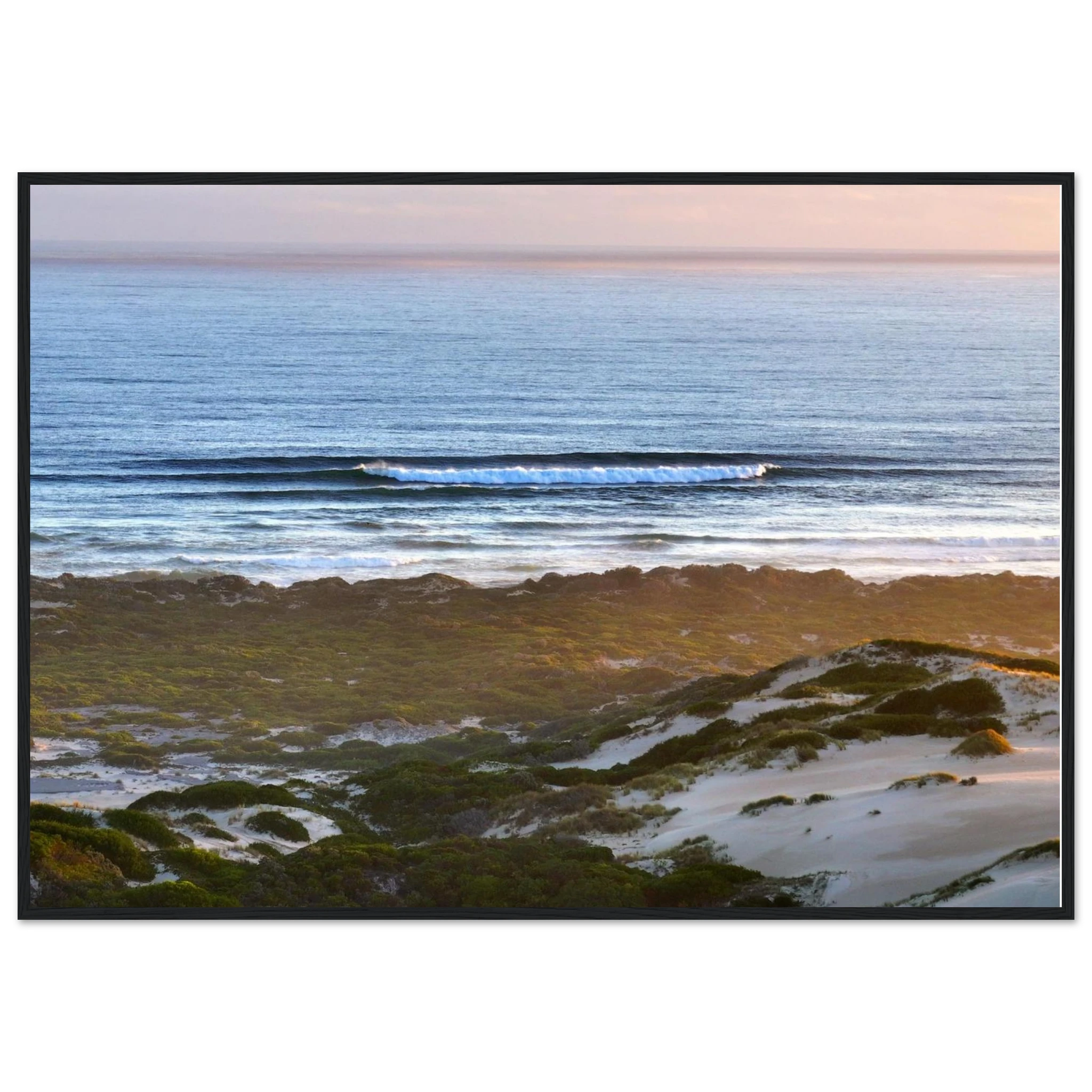 0462c0b4-71d0-49a3-9918-8769b076257f