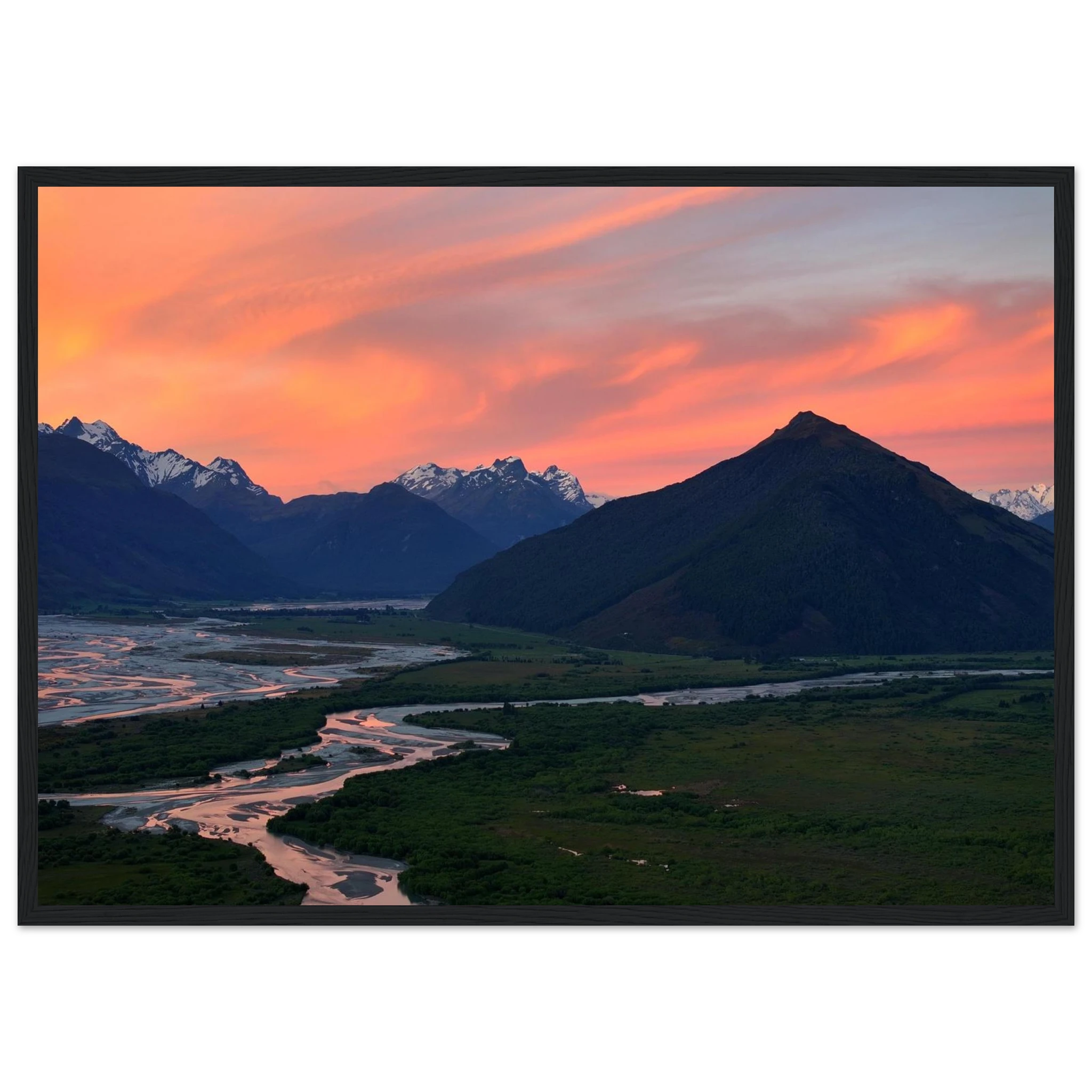 1fe8c59e-2518-4703-a9f2-96edd412f109