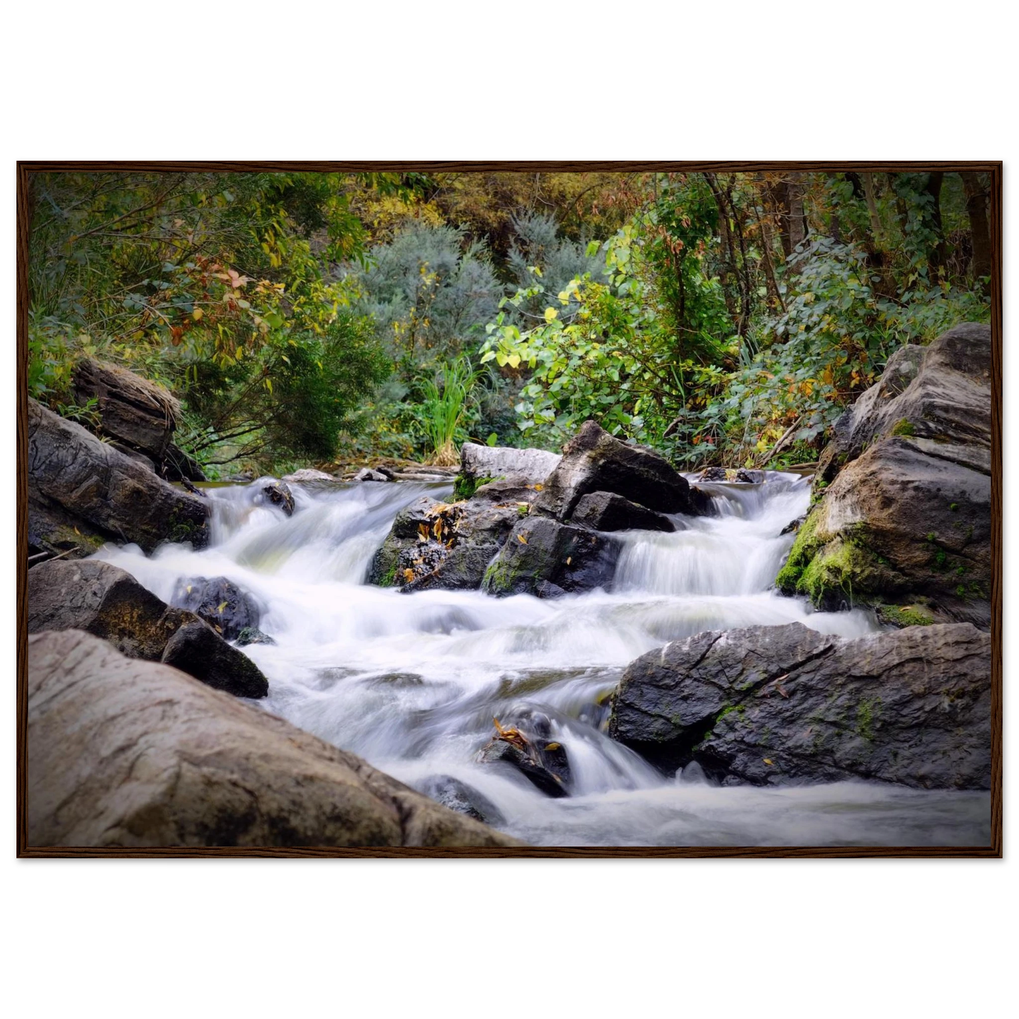 21e074c4-146e-4b81-9cba-637f54295982