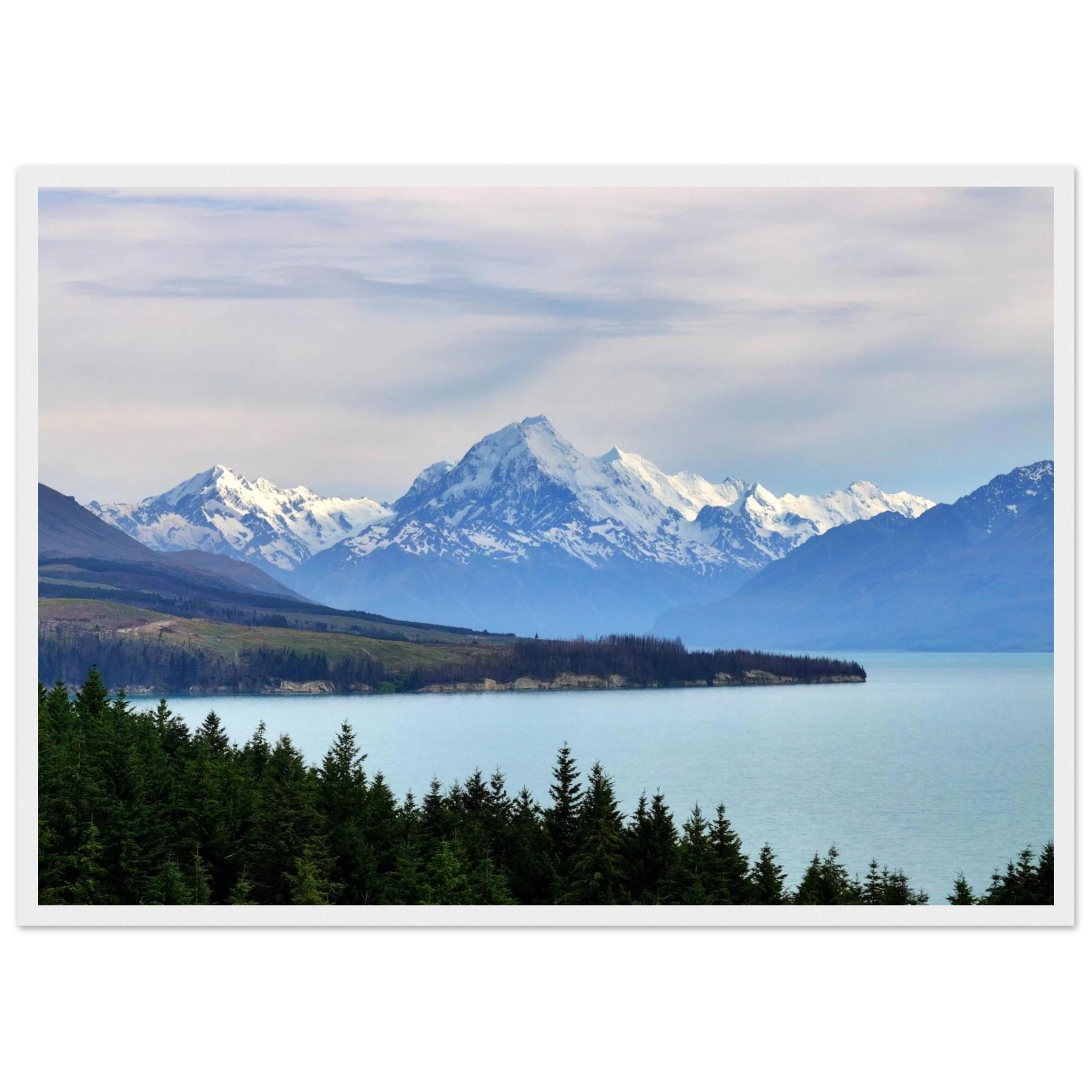 229222e6-3197-40a4-9af4-c40d3f46b78f