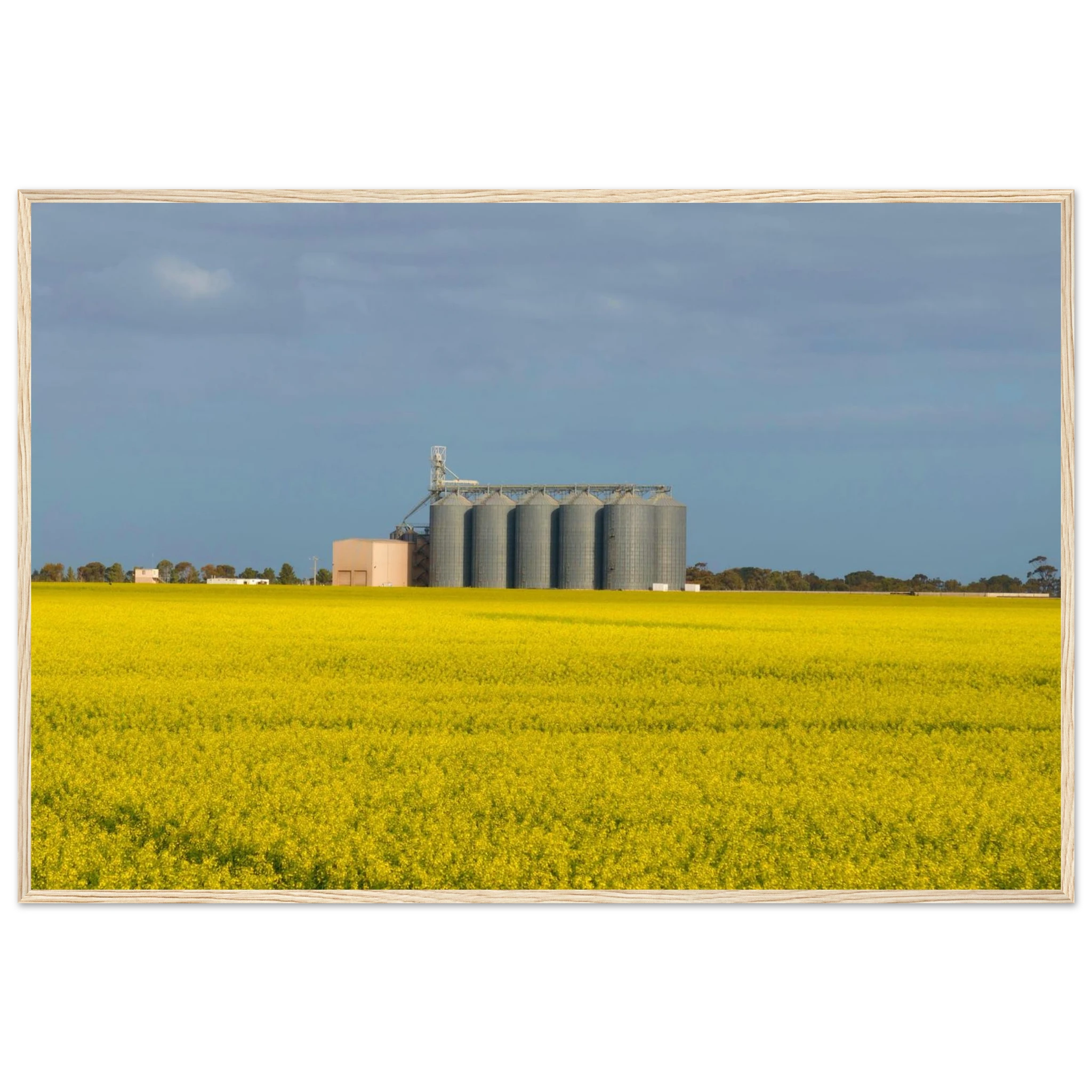 2cf25625-01ea-42c9-88fd-62c094fa46a0