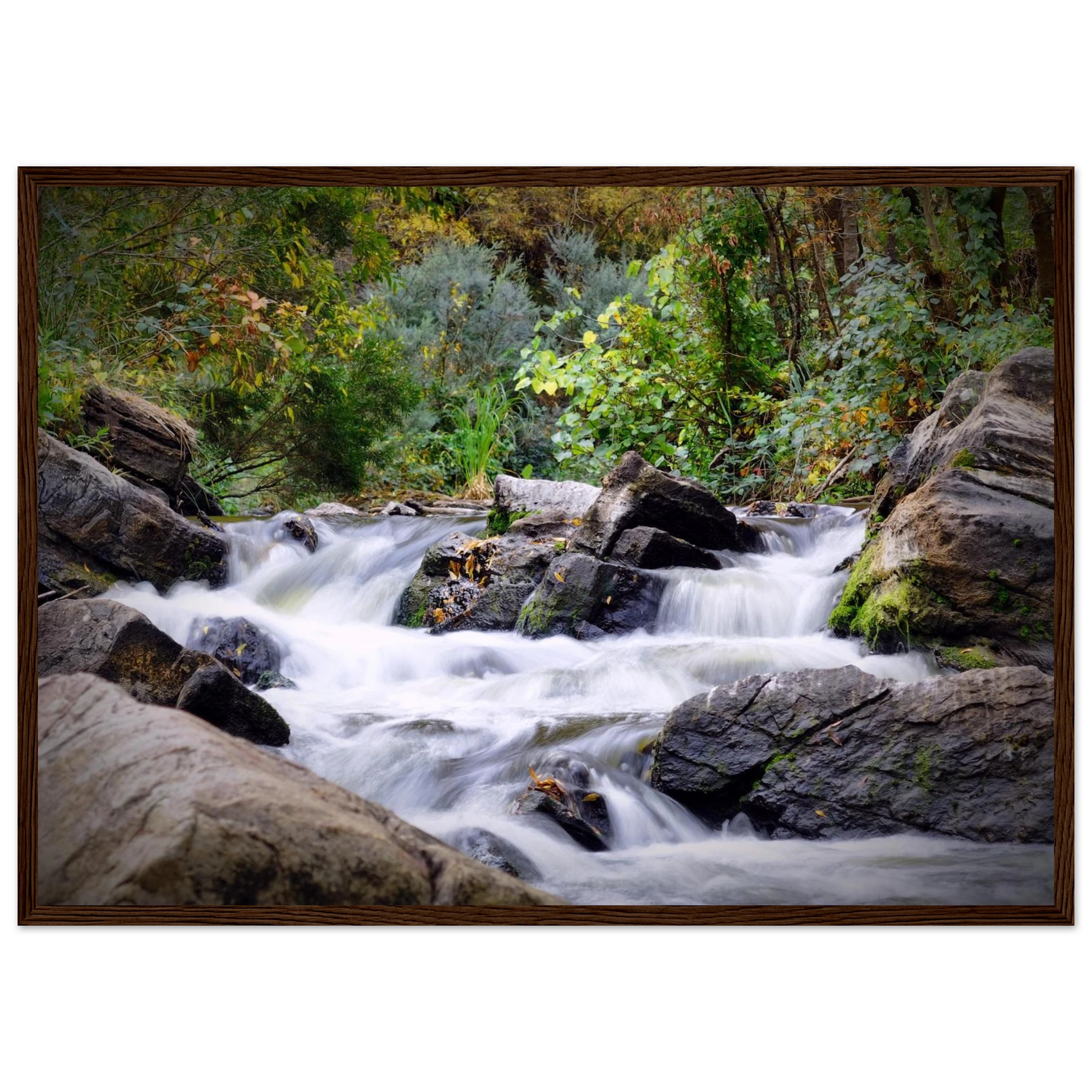 36280218-f681-4252-a8c3-f1856d2a220a