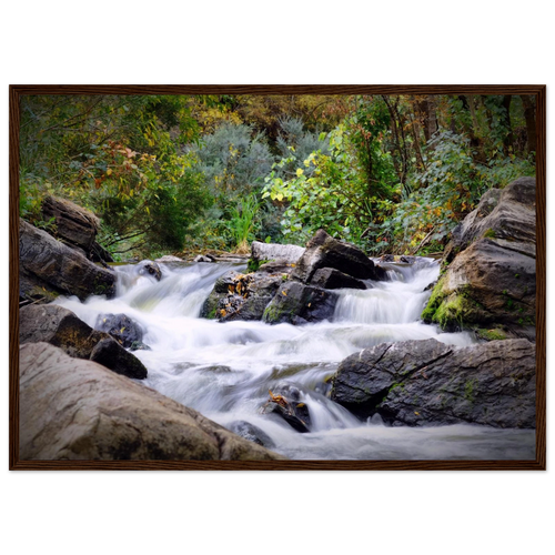 36280218-f681-4252-a8c3-f1856d2a220a