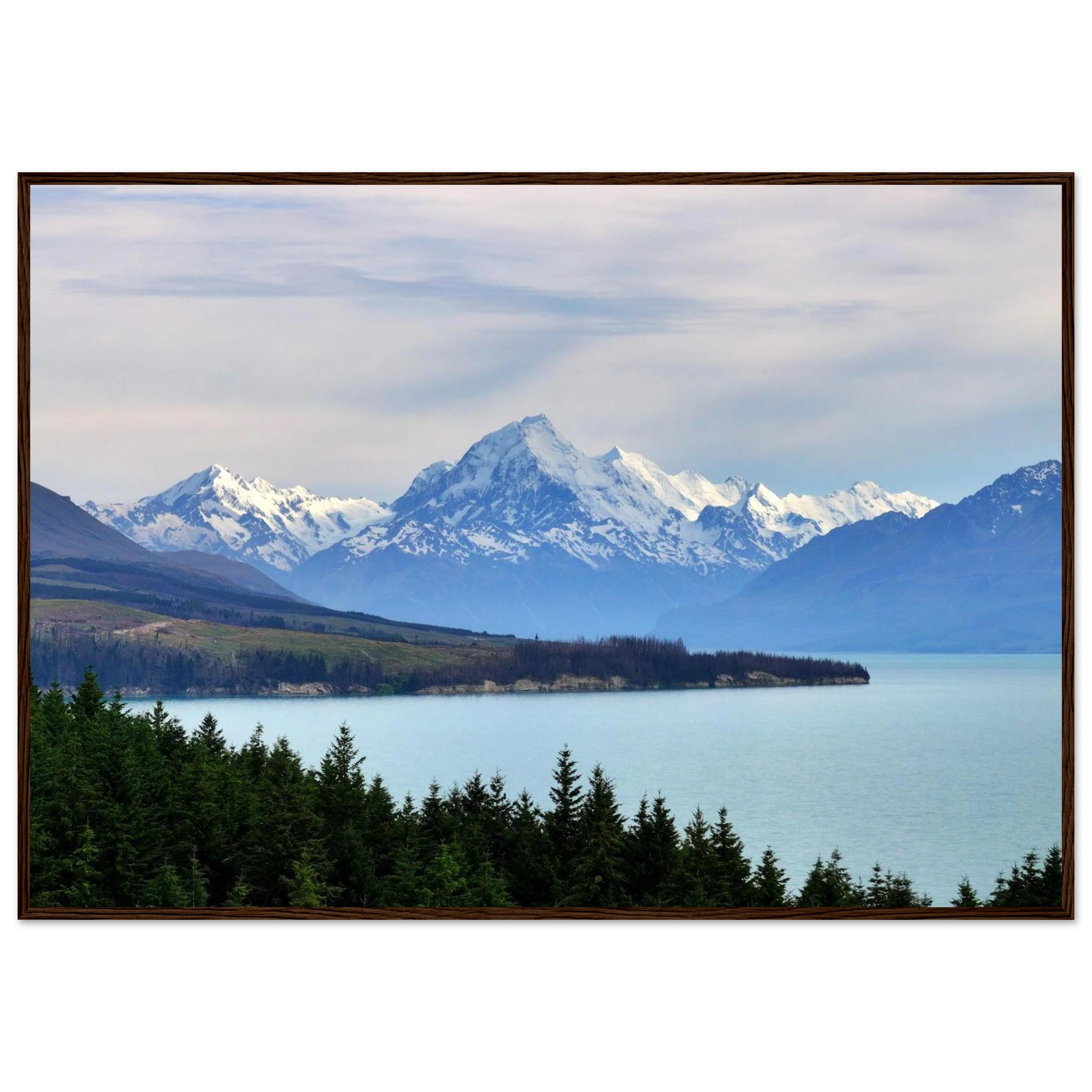 398e556f-5a7a-44cd-878f-56917d3c17ff