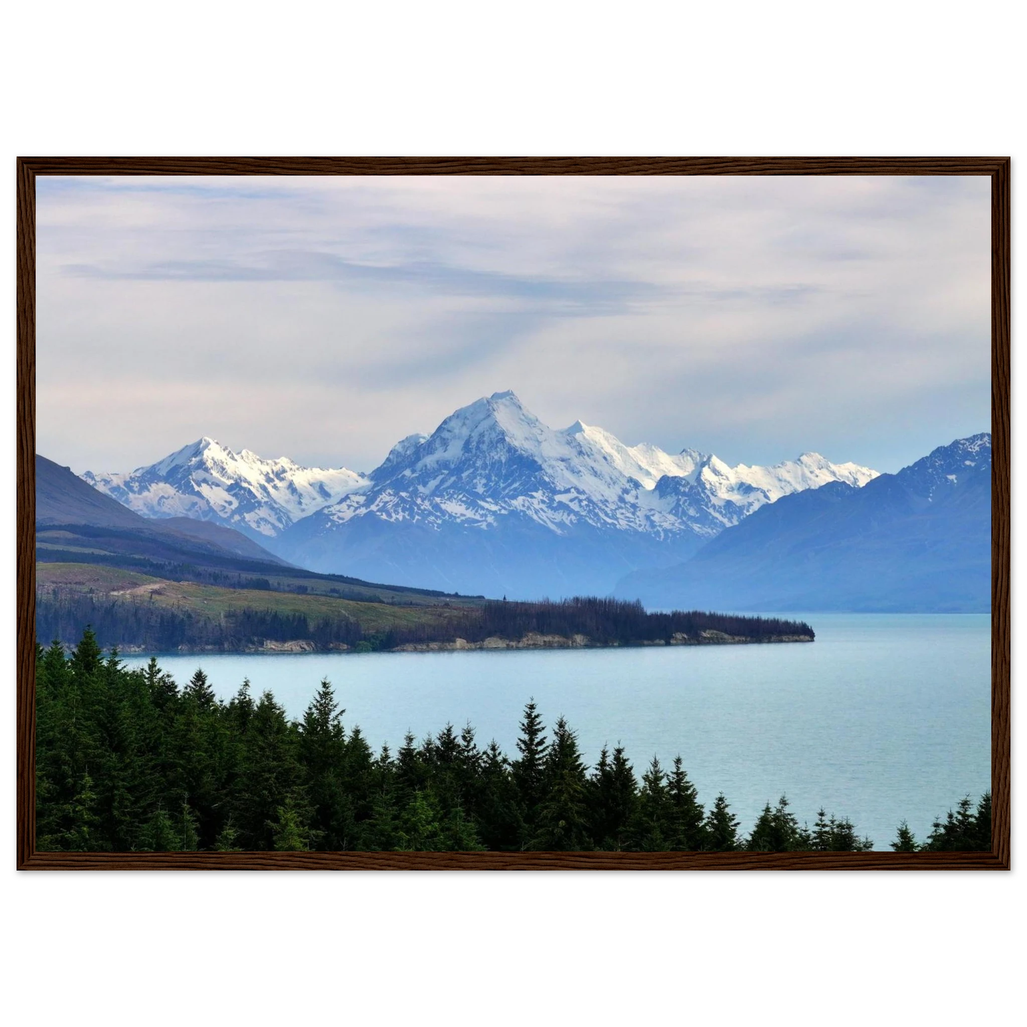 4338fccc-03bb-4ce1-b254-d78d82cacab9