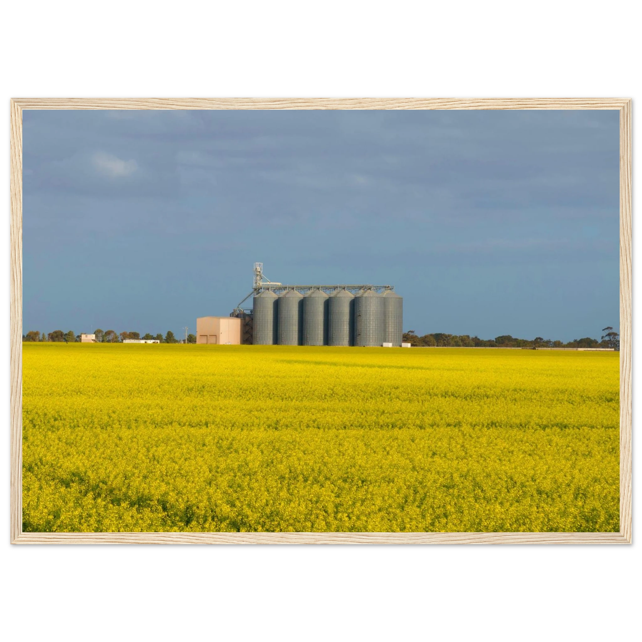 4b7cebeb-41f5-474f-acea-4a5049046e06