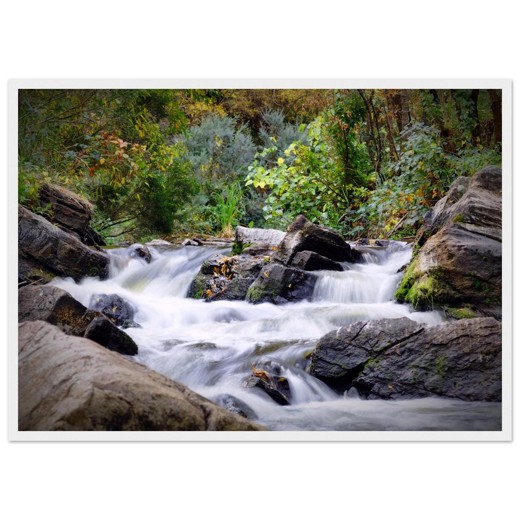 4f1db28f-1f8f-4e41-be03-4bc0c3dd28f4