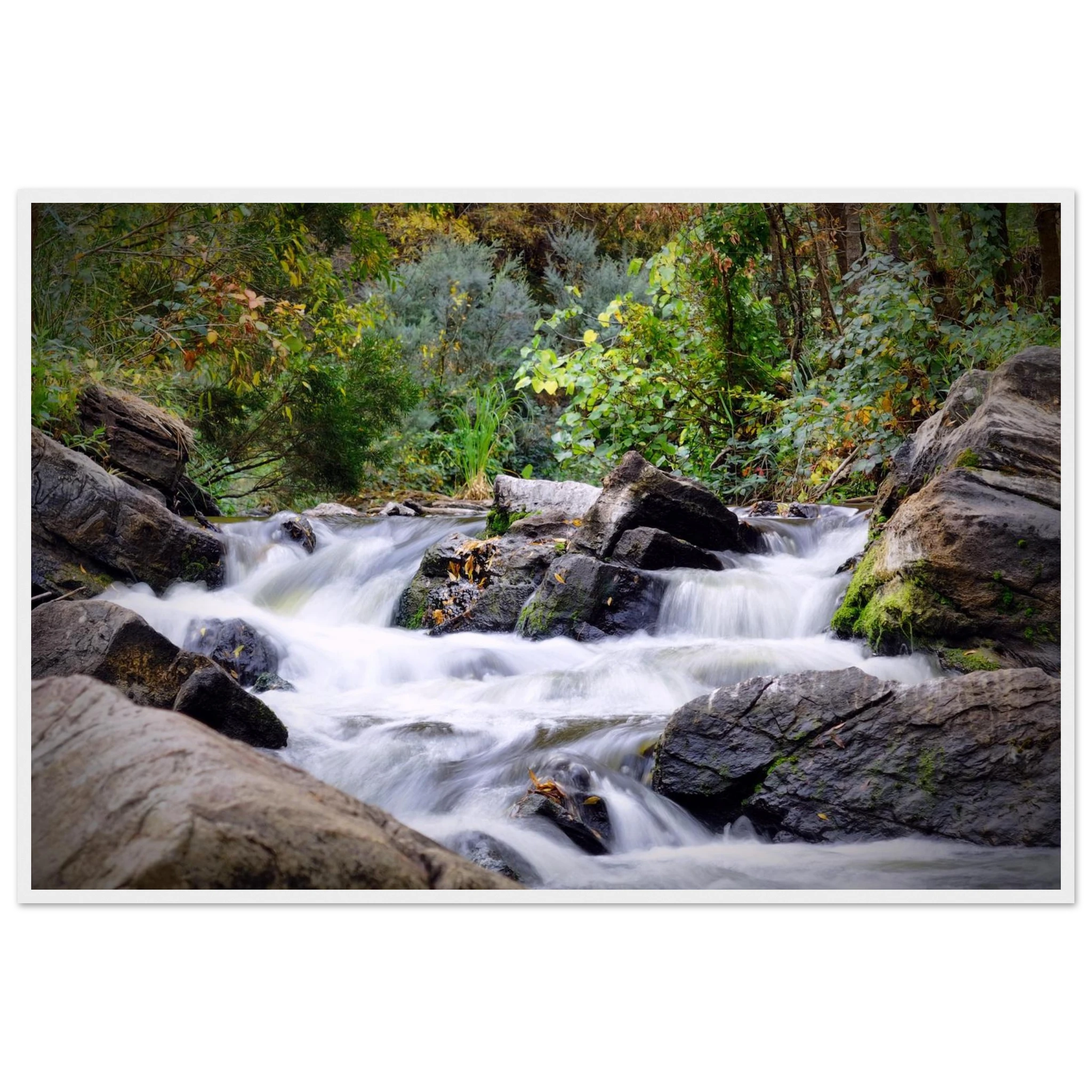 507cf4b9-472c-4153-adaa-0434ae8f3bf3