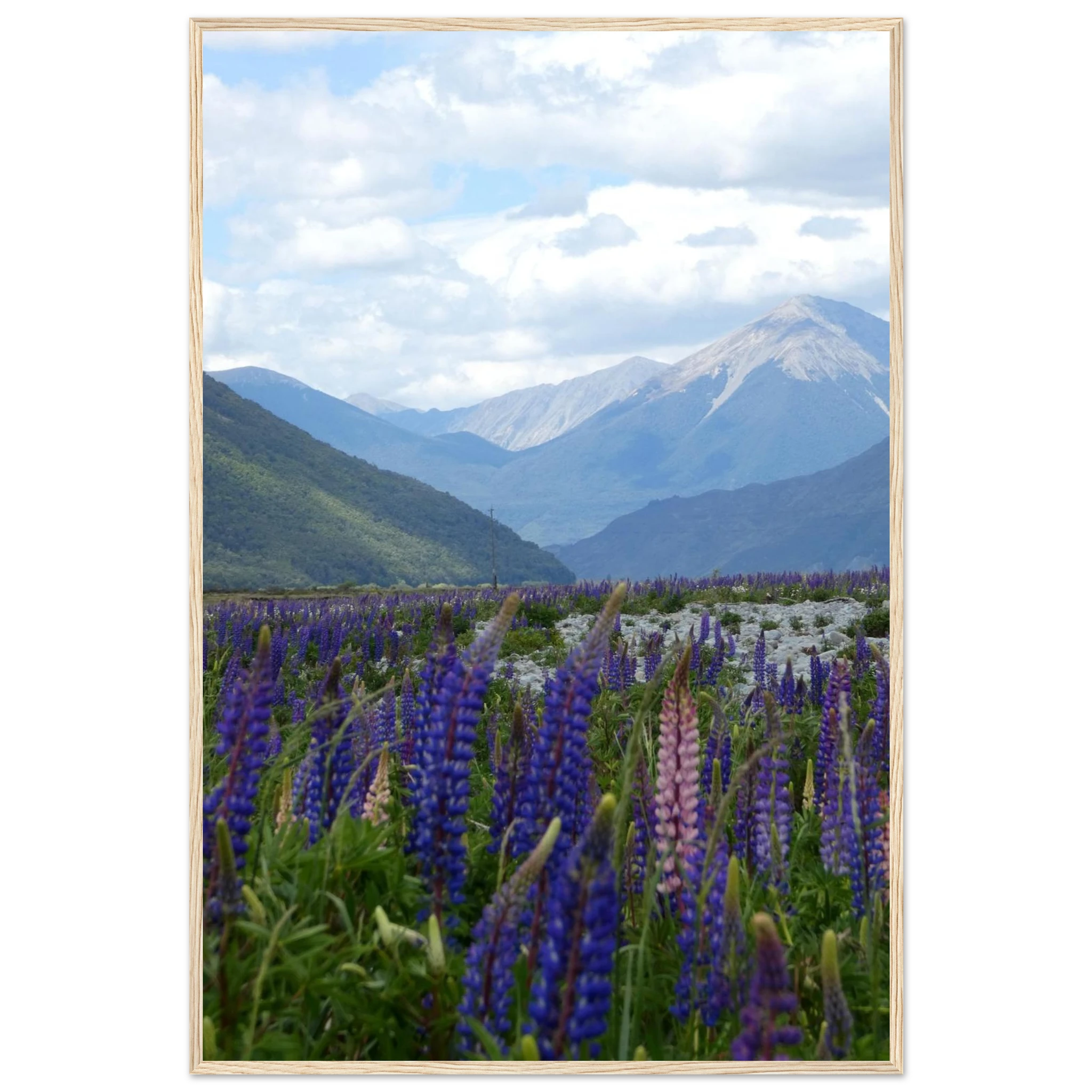 58fbddda-e93c-4725-8874-5d3b90aea410