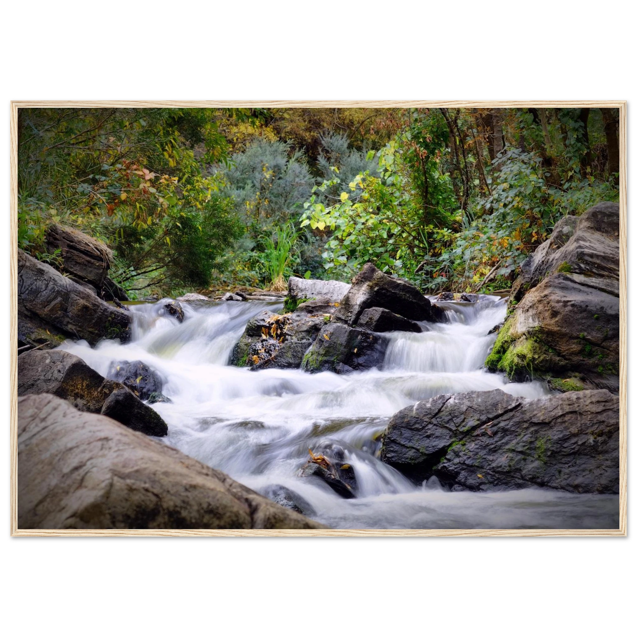 5ff41790-1d44-41a8-ac37-0e75adbabb1c