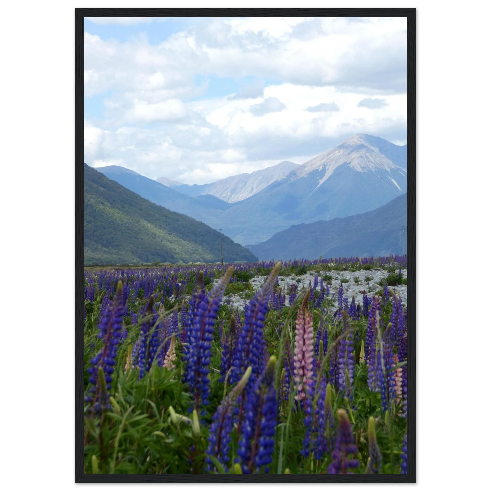 7bc7fd64-732d-4b1e-b0ee-456903ae59da