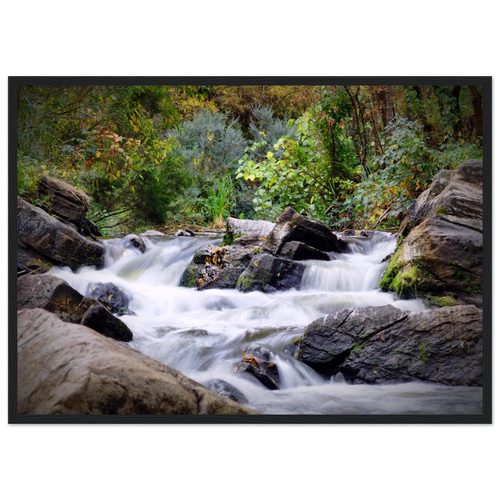 89340d1b-5db5-47be-a74a-72e368754436