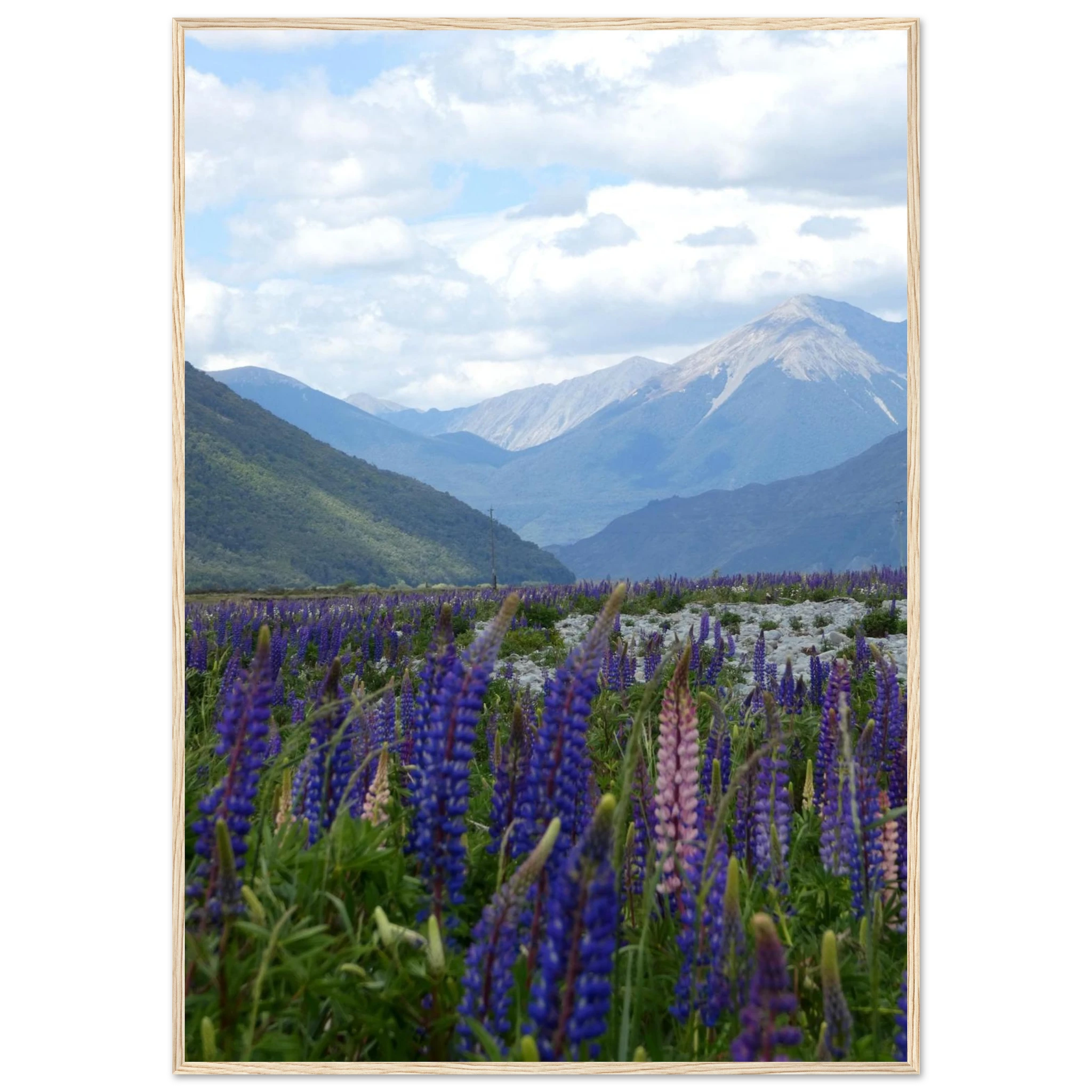 9445ed5f-423f-4927-ac8a-d8aca8332403