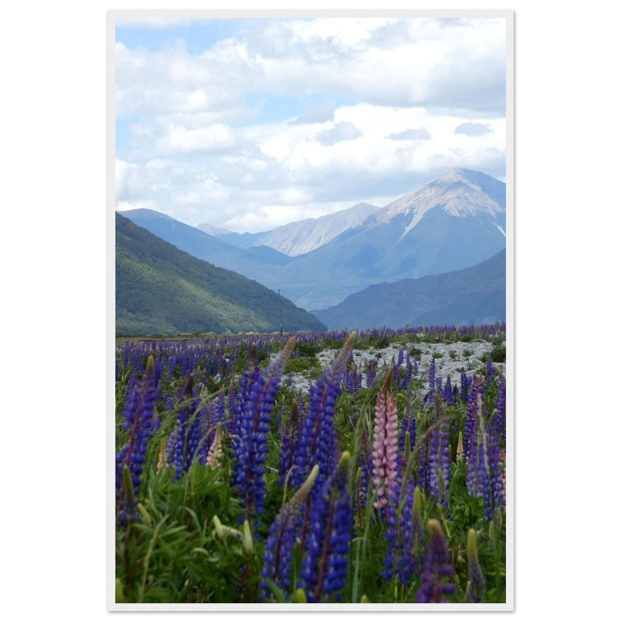 9f0033d7-c048-4872-8616-aec80ca006e6