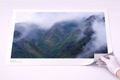 Emerald Veil | New Zealand Scenic Series | South Island