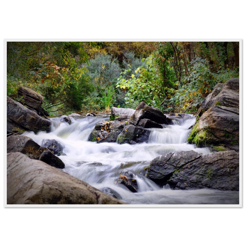 a0f2f8b0-29b2-4273-a420-79ff999a8b75