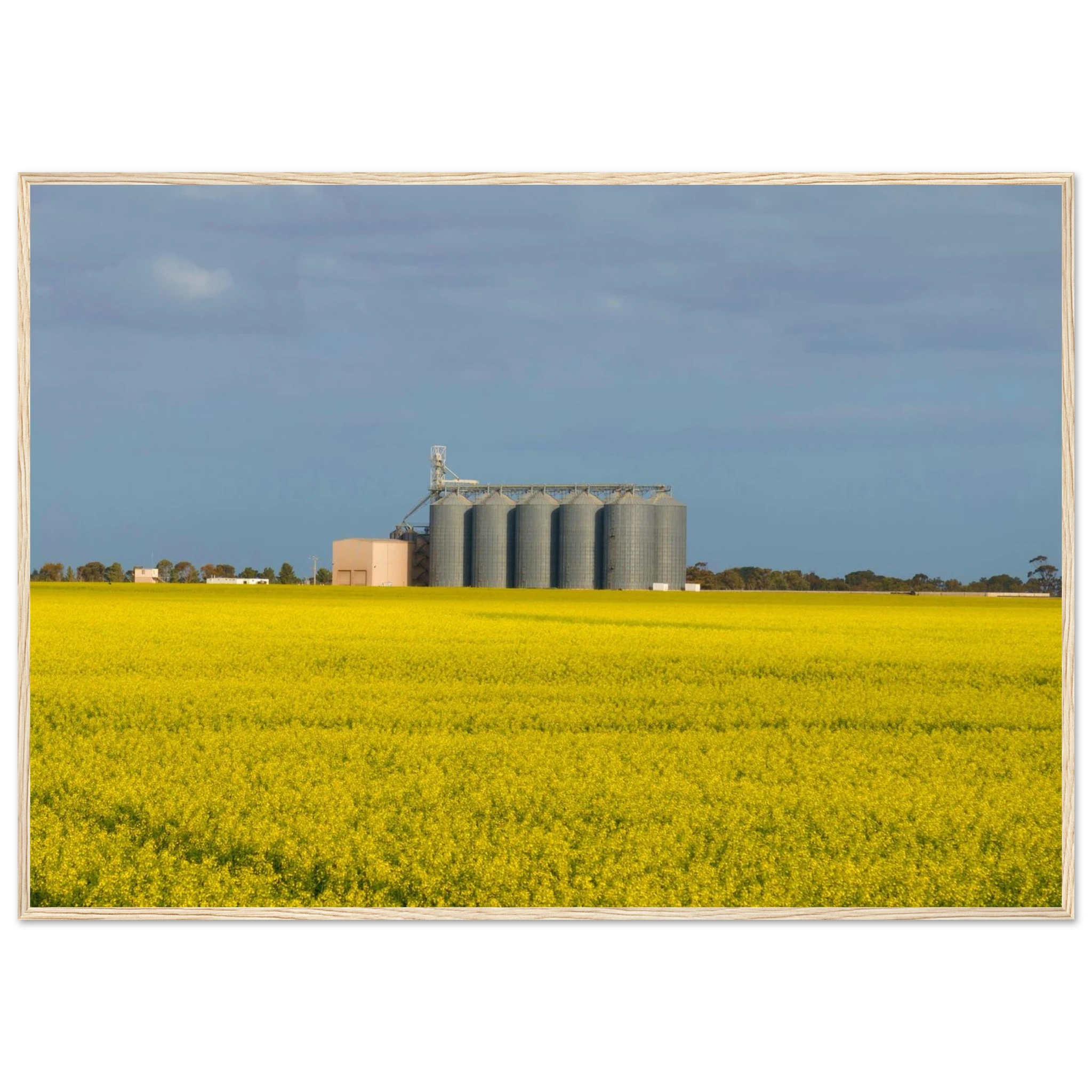 ba8eff23-edb8-4889-ba47-eec95ceb5a9d