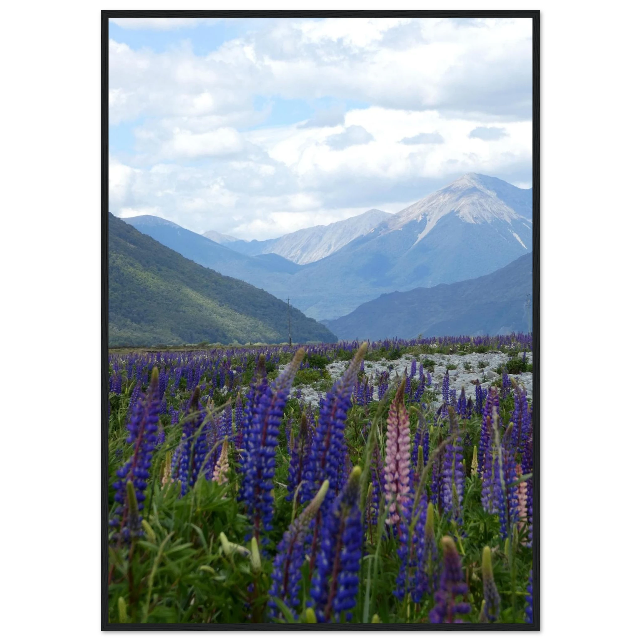 c35441e0-1335-49a1-9766-2da1d38276dc