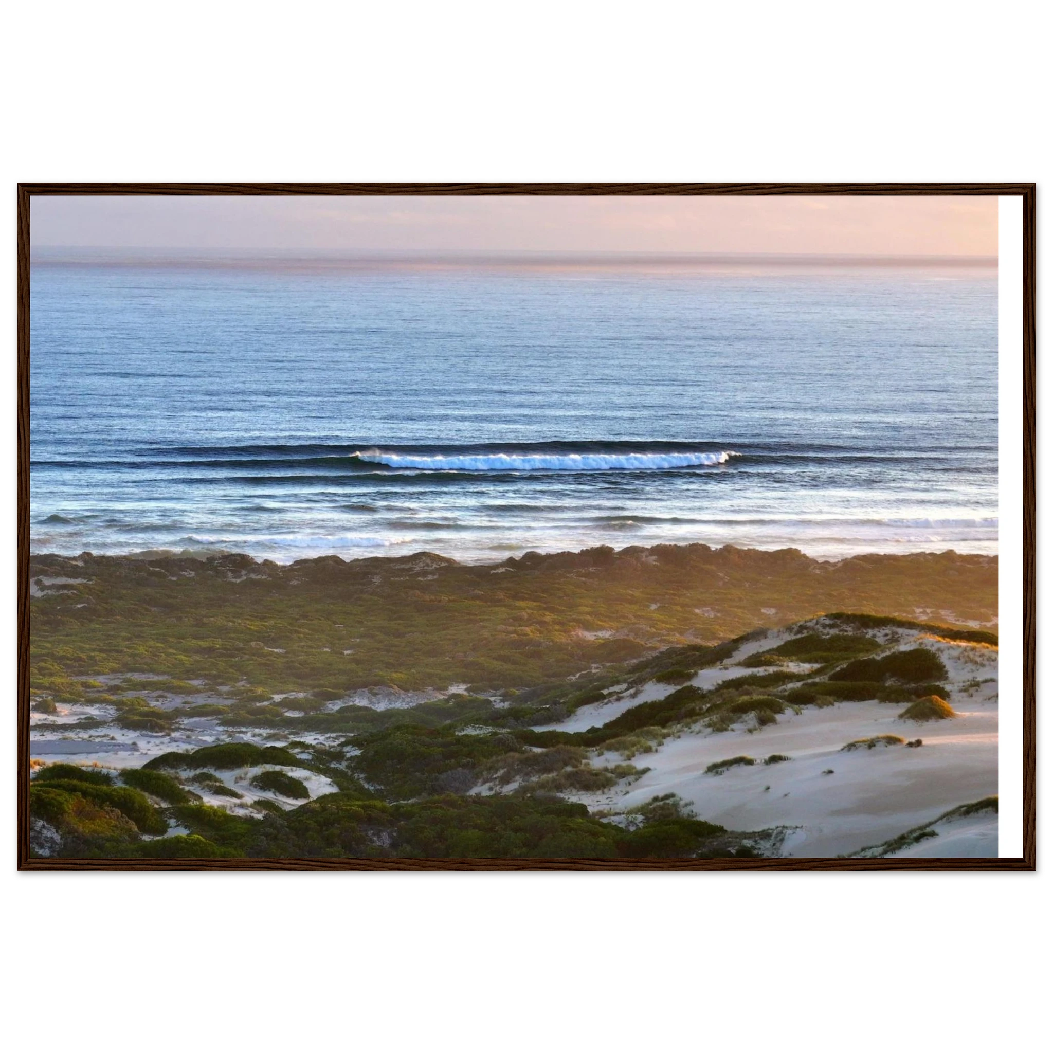 c3626395-3431-4ff7-b8e2-23d84f47f4d9