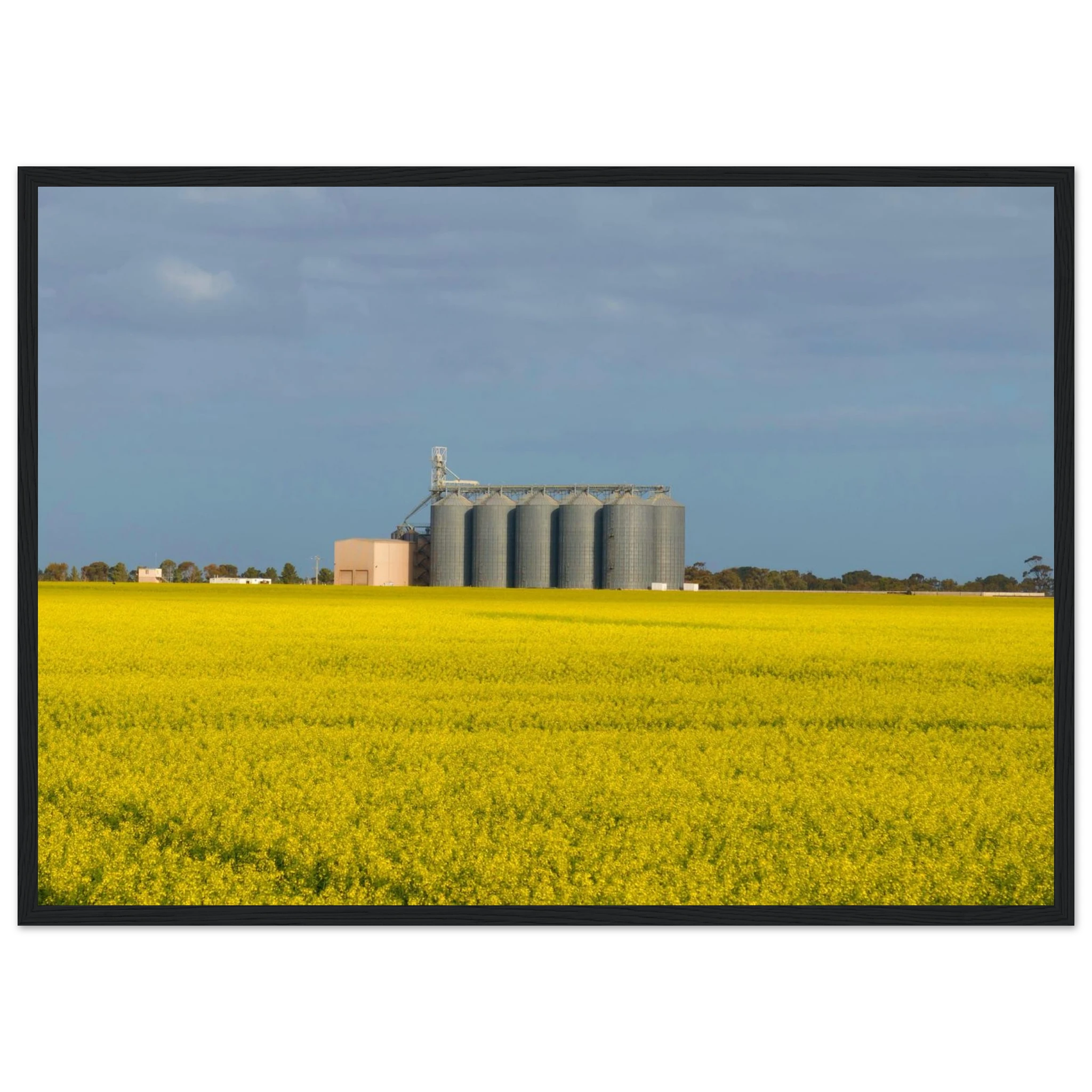 d255b792-e11b-4687-be1d-76f871fb5e33