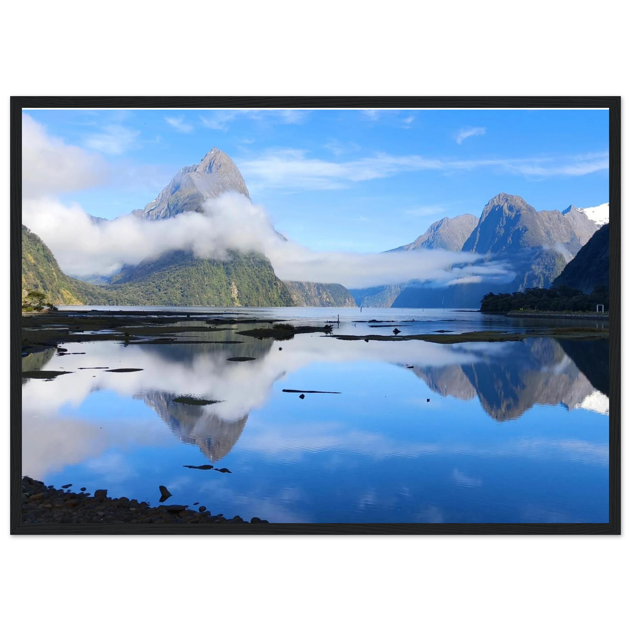 d5e2ab0e-dedf-4593-8153-8dffee489da3