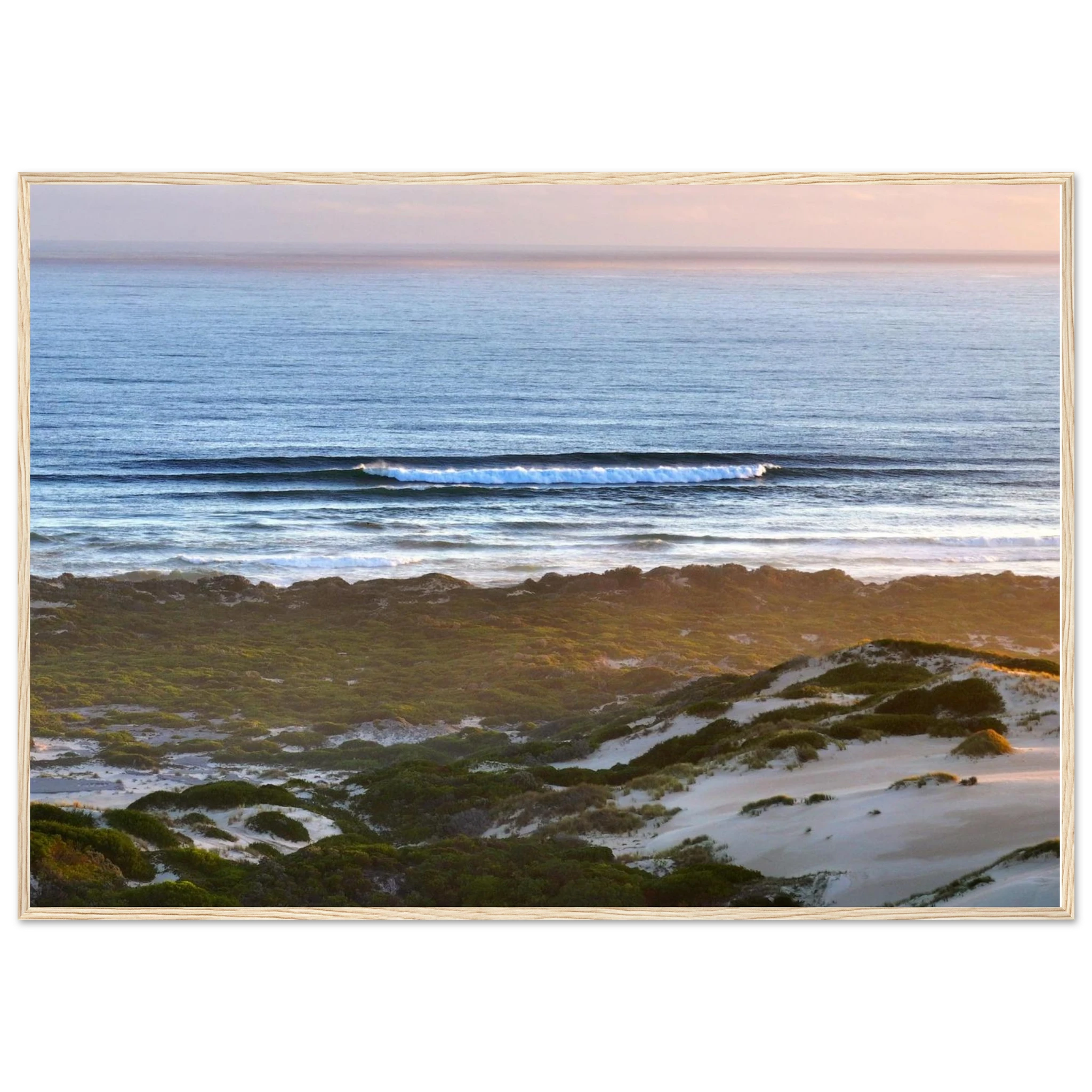 d8989890-c492-4ddc-9817-bbc258ca5fb1