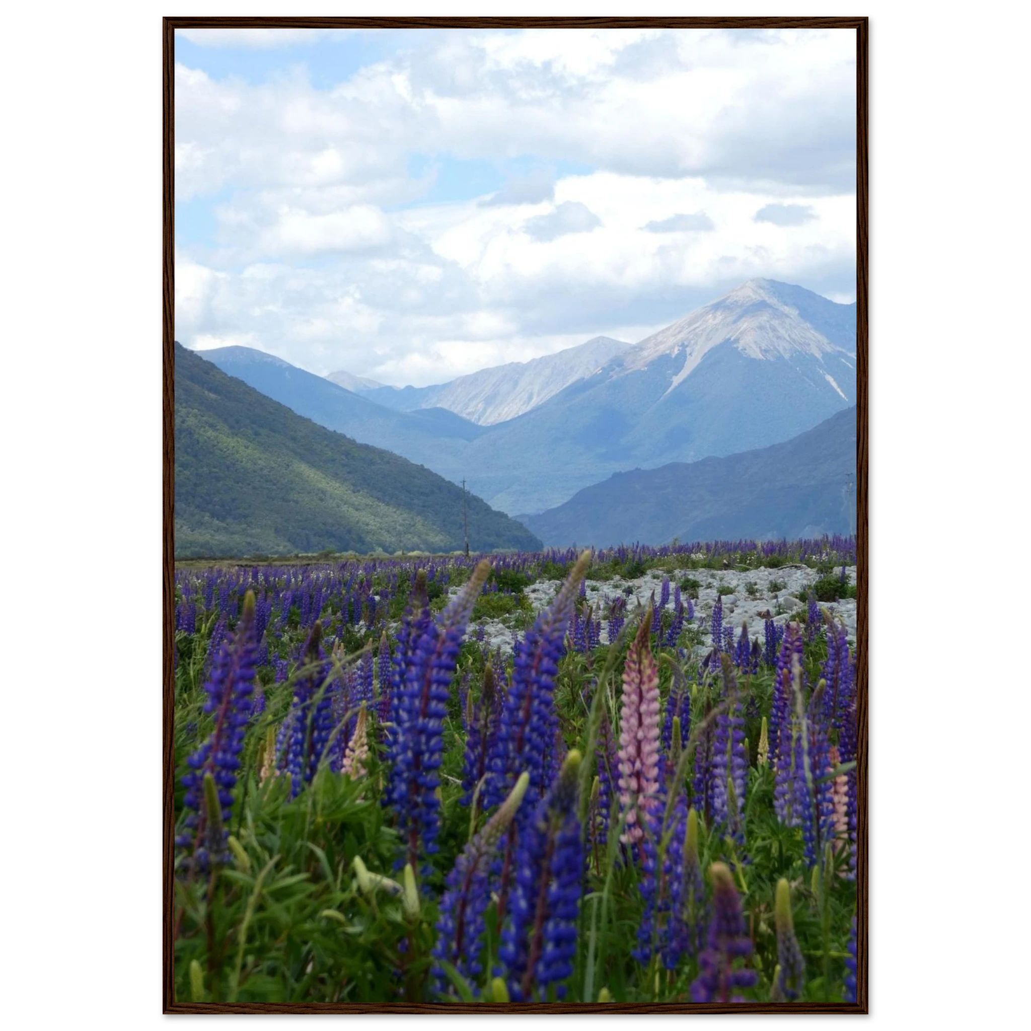 e1d5a025-7a46-47d7-be87-f2b8e5d60452