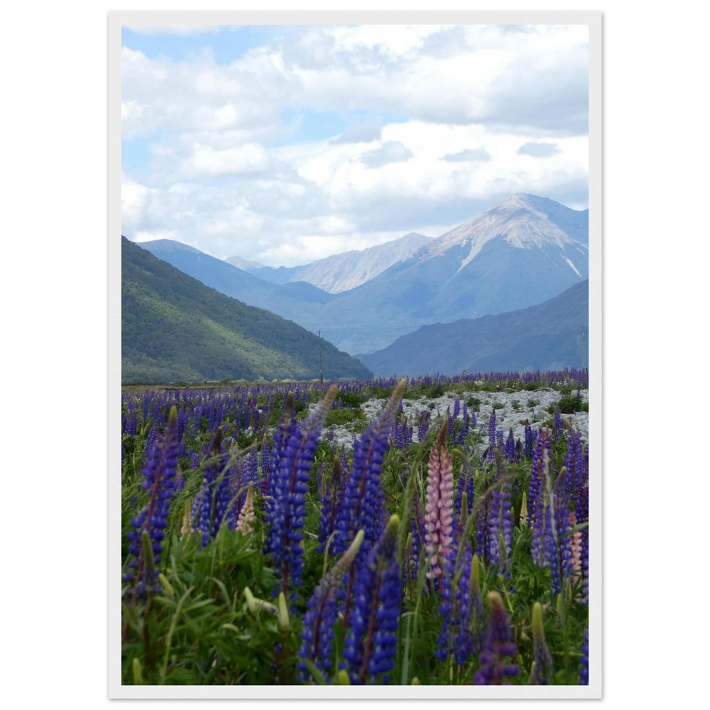 ed7189d6-d601-4361-bfcd-9107f22e9dfe