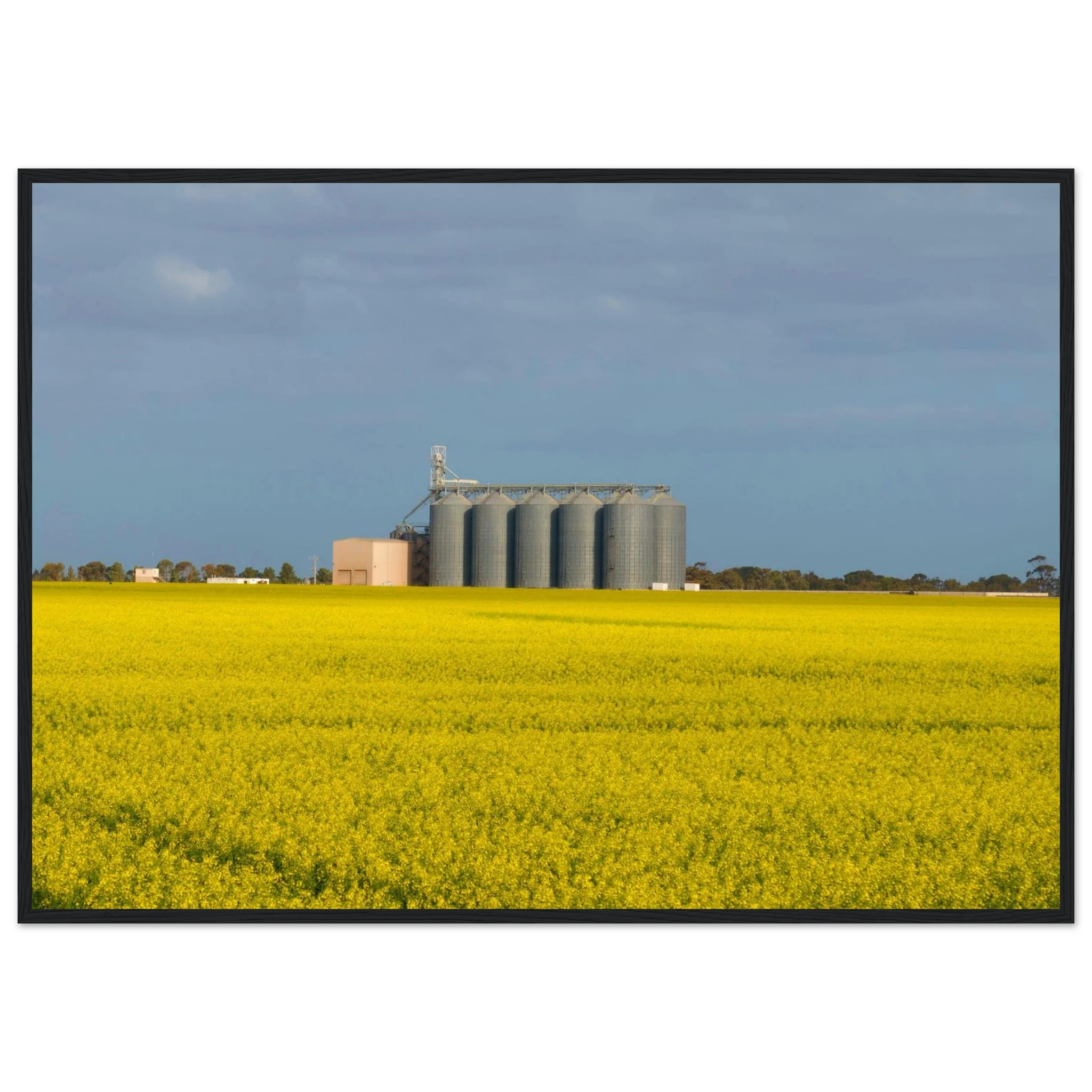 f15d1ea6-2eac-4c23-964d-6b04f6c4a0f1