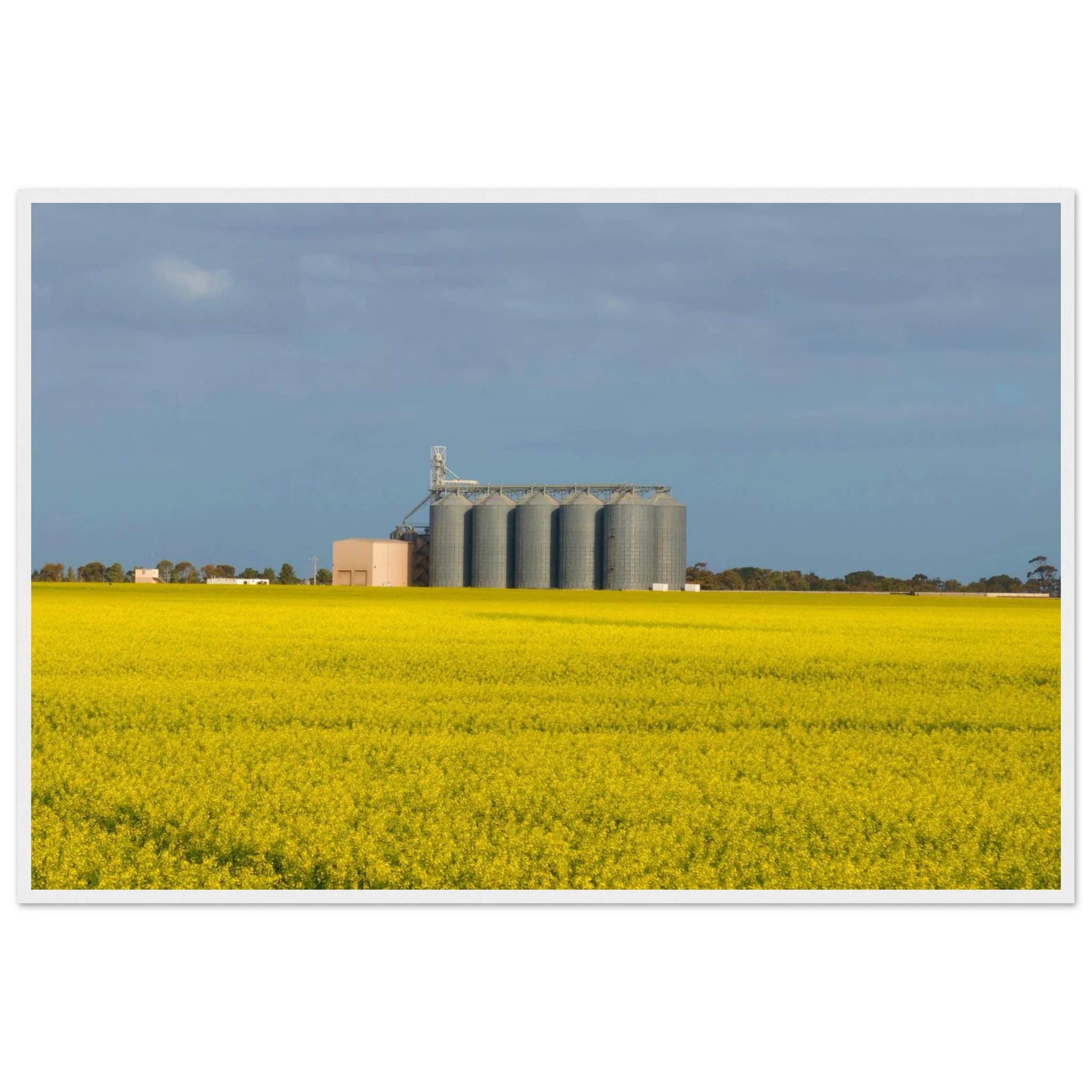 f619c65a-acbc-4fc1-9b67-ce49ea6eae10