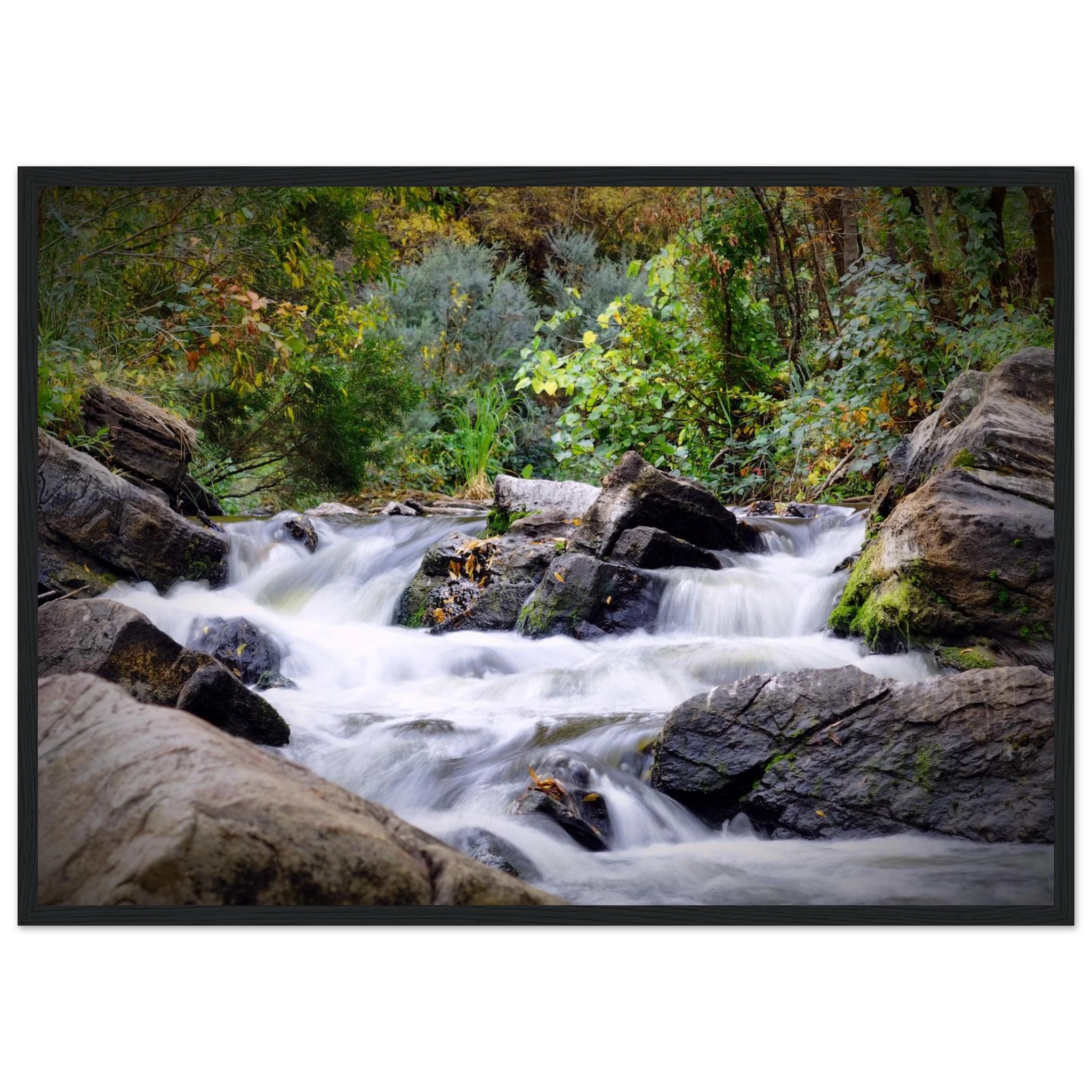 fd9866b3-e259-4a0a-9504-7eb5f5e9ca82